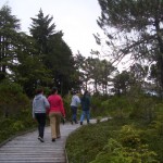 couples-walking-150x150