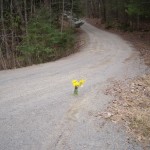 Driveway-surprise-150x150